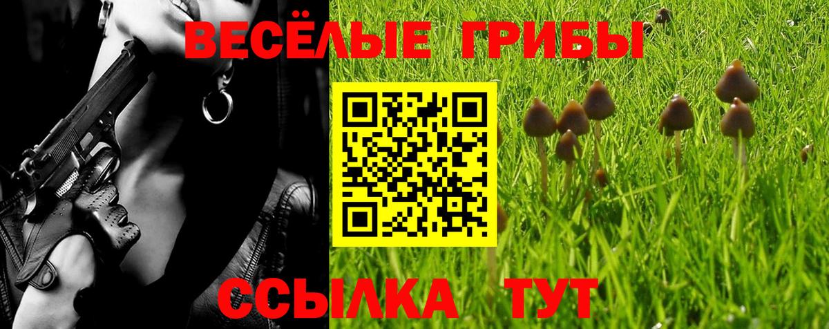 Псилоцибиновые грибы прущие грибы  Псилоцибиновые грибы Magic Shrooms  Солнечногорск  Вход с VPN 