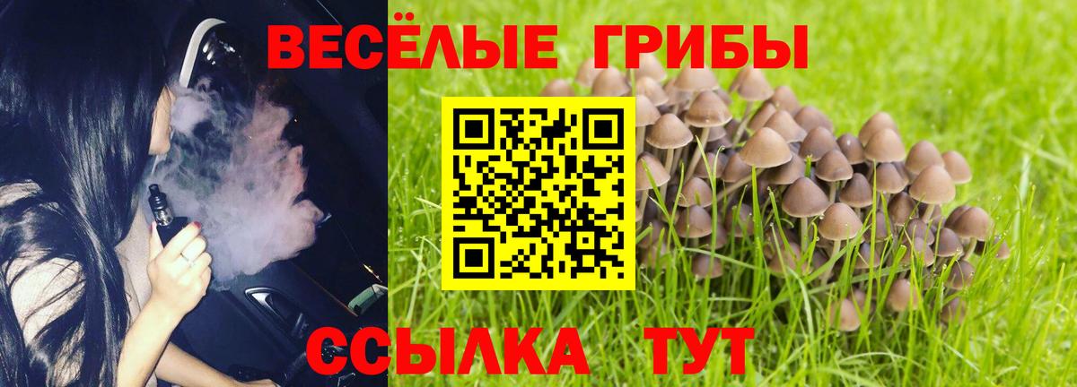 Галлюциногенные грибы ЛСД Солнечногорск